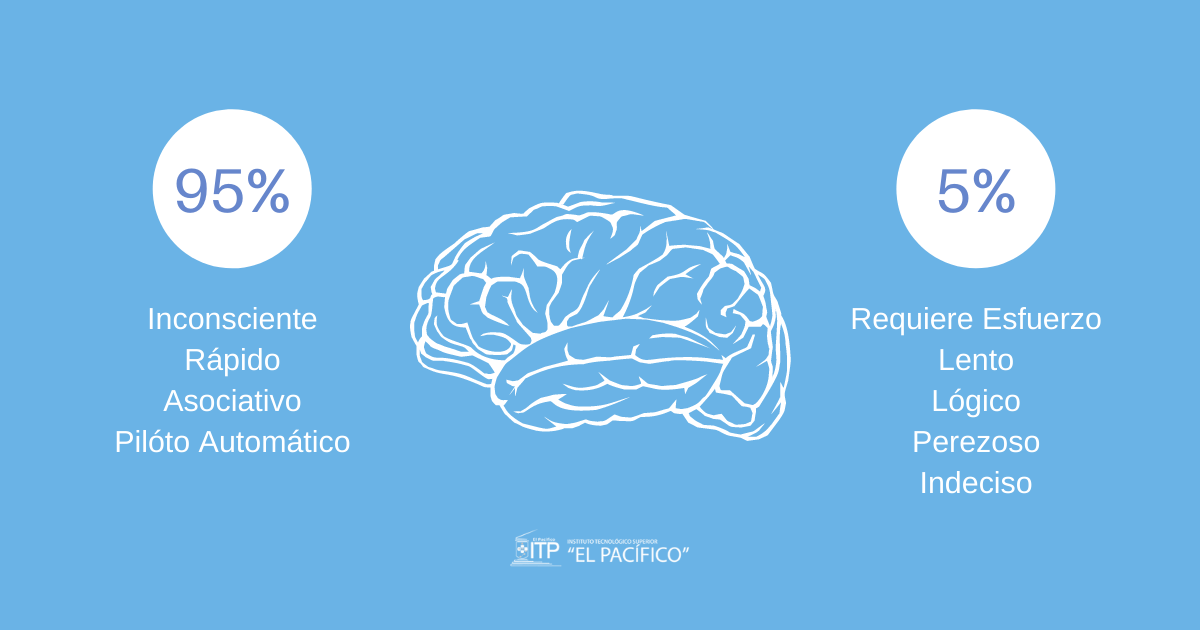 Sistemas de nuestro cerebro