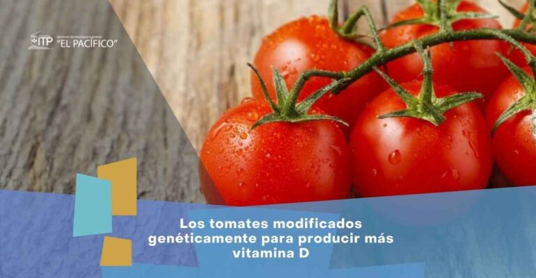 Los tomates modificados genéticamente para producir más vitamina D, portada